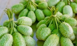 全球吃瓜免费入口